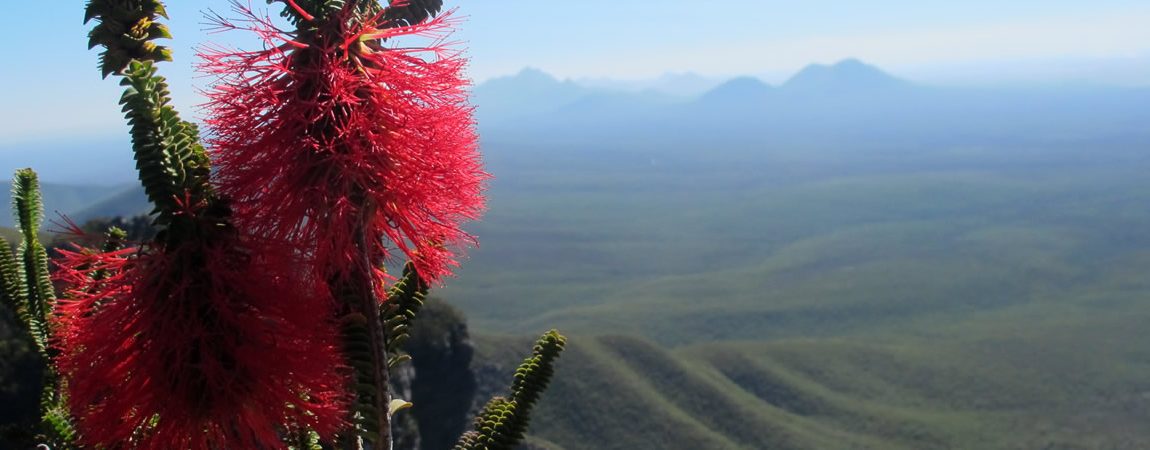 WA Landcare Network 2020 Committee of Management – Call for Nominations