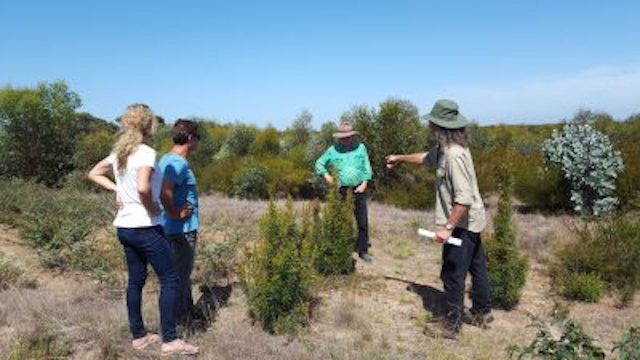 Affordable insurance for landcare groups now available