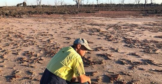 WALN joins in as salinity discussion ramps up on ABC Country Hour