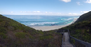 WA landcare groups have success securing 2018-19 Coastwest Grants