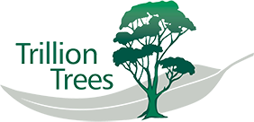 Trillion Trees has inspiring global vision to plant one trillion trees