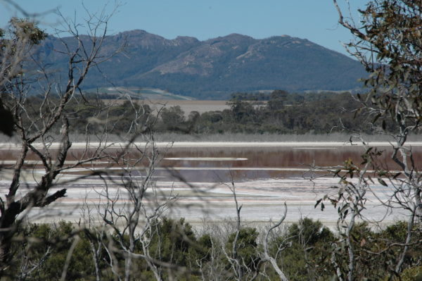 Breathing life back into 40,000 hectares in WA